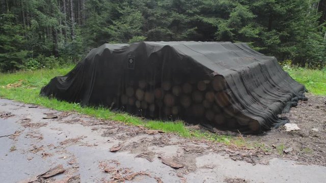 Cut spruce trees covered in net textile against bark beetle spread