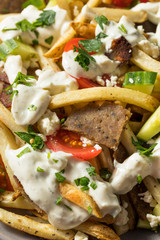 Homemade Greek Gyro Meat French Fries