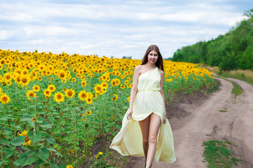 Portrait of a young beautiful girl in a field of sunflowers