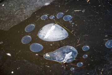 tajemnicze ślady stóp na lodzie © Anna Granat