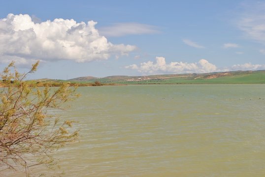Lac oum el ghlaz, zone humide