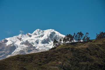 Montaña de Sorata y arboles