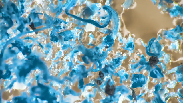 shooting of small and micro plastic pieces in water environment.