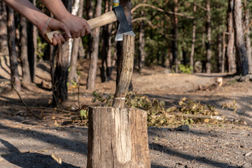 A man chopping firewood with the axe on a stump in the forest on a sunny summer day. Travel and camping