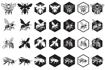 monochrome collection of bees and honeycombs isolated on white background