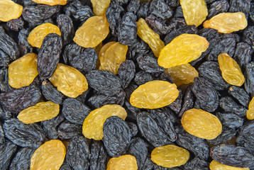 Berries of black and yellow raisins