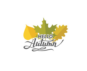 hello autumn lettering label with woody leaves isolated on white background