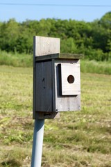 A close front view of the old wood birdhouse box.