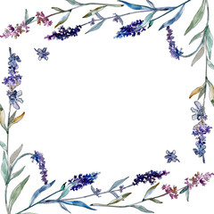Lavender floral botanical flowers. Watercolor background illustration set. Frame border ornament square.