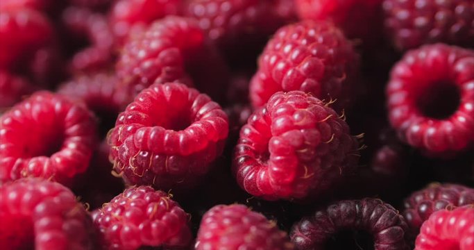 Close Up Berry. Fresh, Juicy Raspberry Background, Ripe. Macro Red Raspberries Fruit. Fresh Raspberry Fruits As Food Dackground. Healthy Food Organic Nutrition.