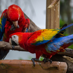  nature and its different representations