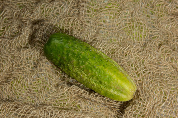 Cucumber