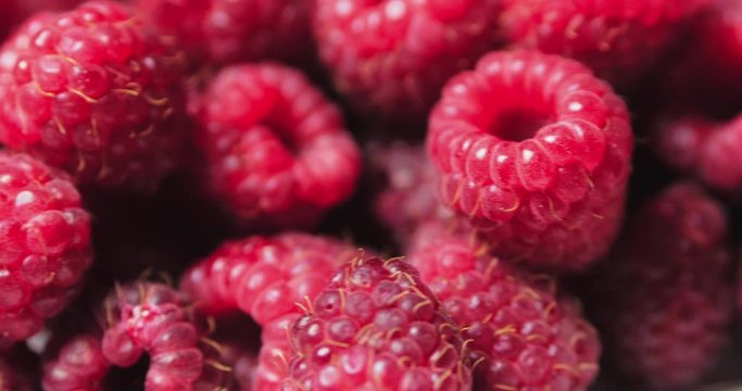 Close Up Berry. Fresh, Juicy Raspberry Background, Ripe. Macro Red Raspberries Fruit. Fresh Raspberry Fruits As Food Dackground. Healthy Food Organic Nutrition.