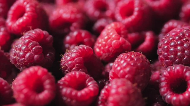 Close Up Berry. Fresh, Juicy Raspberry Background, Ripe. Macro Red Raspberries Fruit. Fresh Raspberry Fruits As Food Dackground. Healthy Food Organic Nutrition.