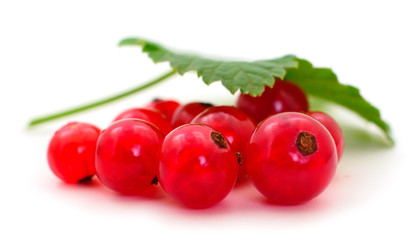 Red currant fruit.