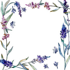 Lavender floral botanical flowers. Watercolor background illustration set. Frame border ornament square.