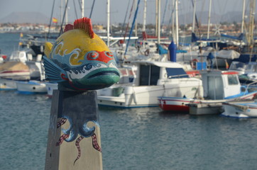 Fuerteventura Canary Islands