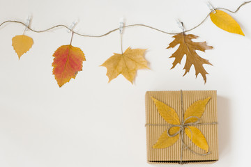 Autumn fallen leaves hang on a rope with clothespins on a light beige background and a gift craft box with a bow of twine. The concept of autumn discounts. Price fall and gifts. Copy space.