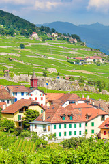 Fototapeta na wymiar Vertical picture of picturesque village Rivaz located on slopes by Geneva Lake, Switzerland. Swiss summer. Lavaux wine region, UNESCO Heritage. Switzerland landscape. Tourist places