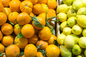 oranges and lemons on the shop counter