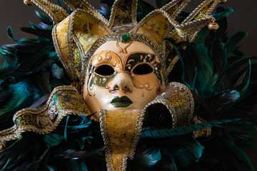 Mardi Gras mask with feather wreath