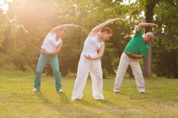 Naklejka na ściany i meble group of people practice Tai Chi Chuan in a park. Chinese management skill Qi's energy.