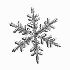 Snowflake isolated on white background. Vector illustration based on real snow crystal: beautiful stellar dendrite with hexagonal symmetry, complex details, elegant arms and glossy, relief surface.