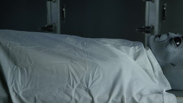 Alien Autopsy Visitor on Gurney in Military Installation