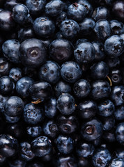 sweet fresh blueberry macro pattern top view copy space texture blue color