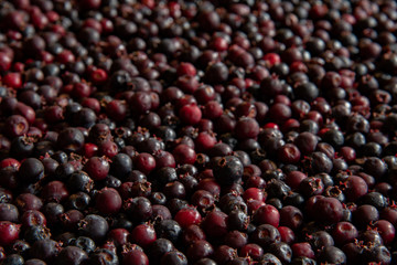Background or texture of freshly picked wild saskatoon berries
