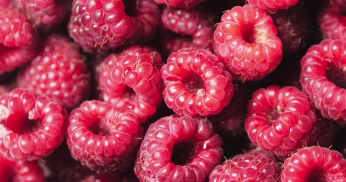 Close Up Rotation Loopable Berry. Fresh, Juicy Raspberry Background, Ripe. Macro Red Raspberries Fruit. Fresh Raspberry Fruits As Food Dackground. Healthy Food Organic Nutrition.