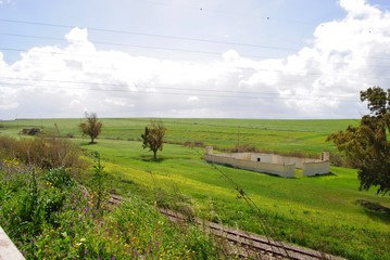 Obraz premium Bucolique, algerie 