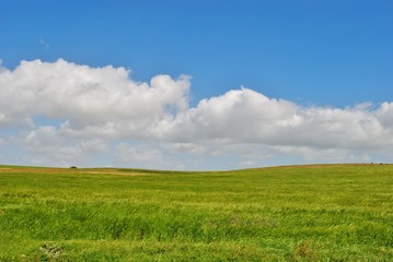 Fototapeta premium Couleurs du printemps, paysage prntanier, algerie