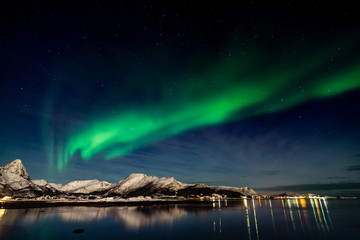 Northern Lights Lofoten