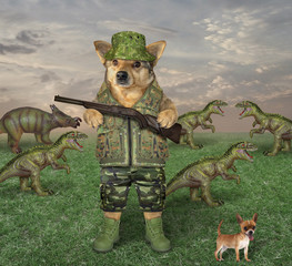 The dog in the military uniform with a rifle grazes a herd of dragons in the meadow on the farm....