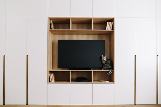 Funny cat in a living room interior with TV and a  wardrobe. scandinavian style, minimal concept. modern living interior design. 
