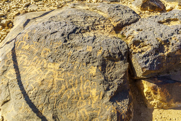 Ancient rock engravements near Sde Boker, the Negev Desert