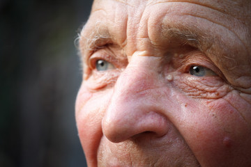 Close-up portrait of a very old man against the background of wattle, selective focus