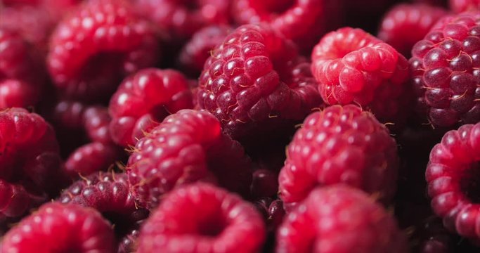Close Up Berry. Fresh, Juicy Raspberry Background, Ripe. Macro Red Raspberries Fruit. Fresh Raspberry Fruits As Food Dackground. Healthy Food Organic Nutrition.