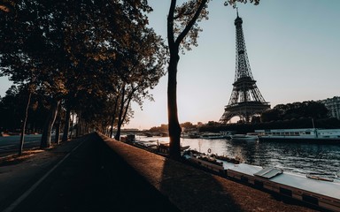 Eiffel Tower at Sunrise