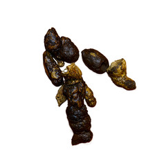 Cat shit excrement isolated on white background.