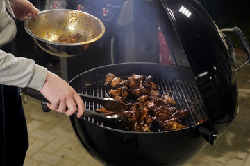 pieces of grilled chicken, flavored poultry meat