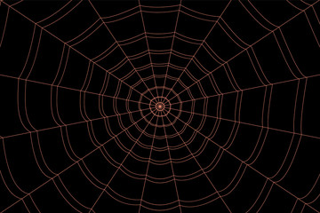 concentric white web on a gray background