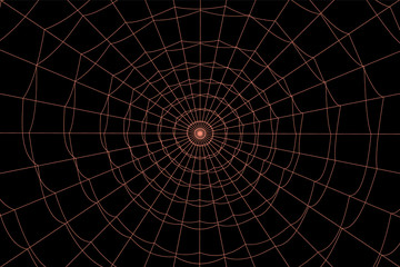concentric white web on a gray background
