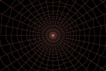 concentric white web on a gray background