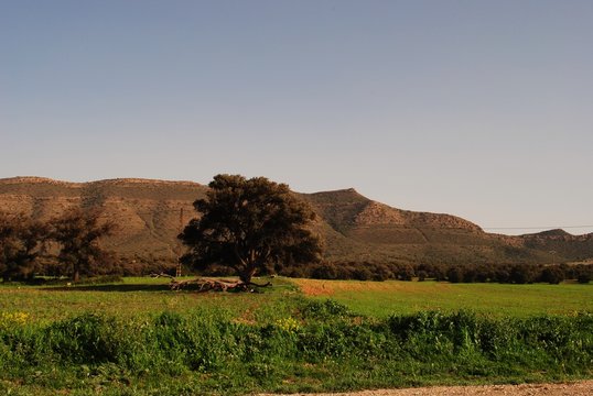 Images monts de Tlemcen