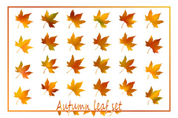 yellow and red autumn leaves sets