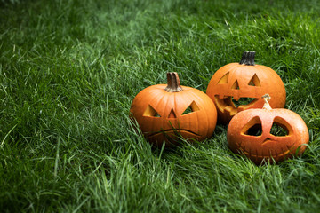 Obraz premium jack-o-lantern, halloween carved pumpkin