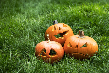 Obraz premium jack-o-lantern, halloween carved pumpkin