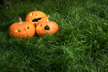 Obraz premium jack-o-lantern, halloween carved pumpkin